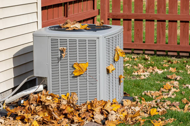Best HVAC Cleaning Services  in Volo, IL