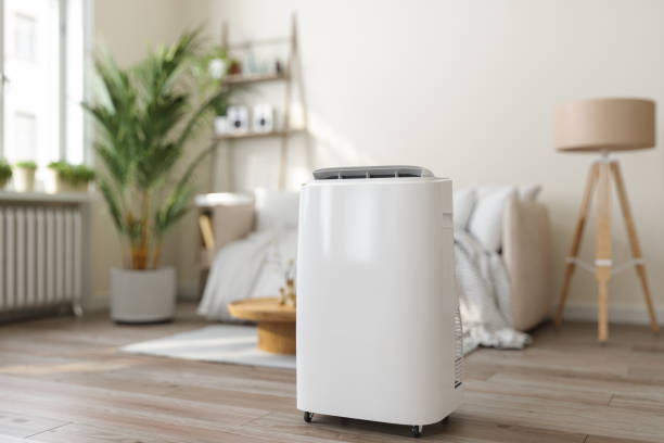 Best Ductless HVAC Repair  in Volo, IL